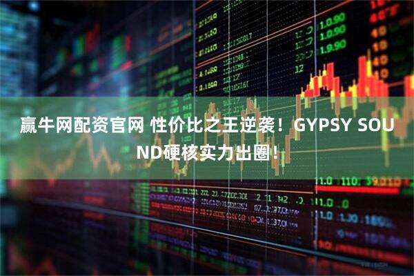 赢牛网配资官网 性价比之王逆袭！GYPSY SOUND硬核实力出圈！