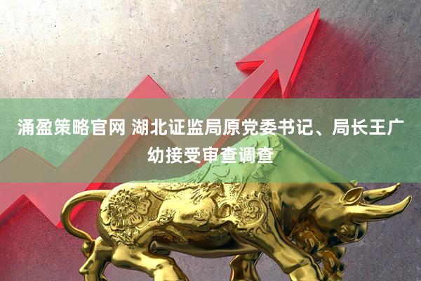 涌盈策略官网 湖北证监局原党委书记、局长王广幼接受审查调查